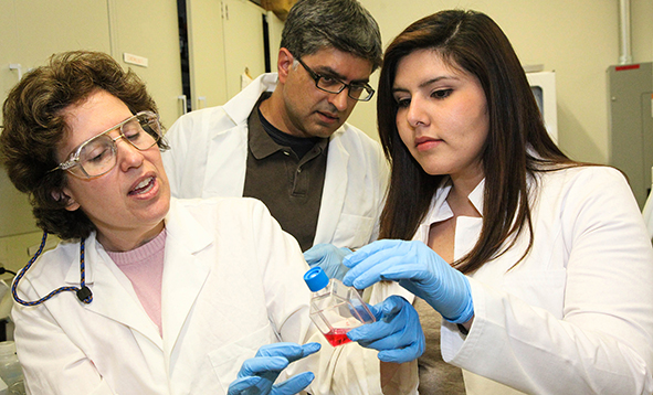 Professor Susan Sharfstein works with students in a lab