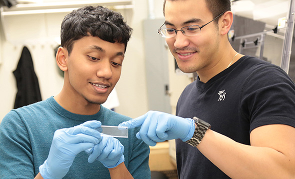 two students looking as a slide in a lab